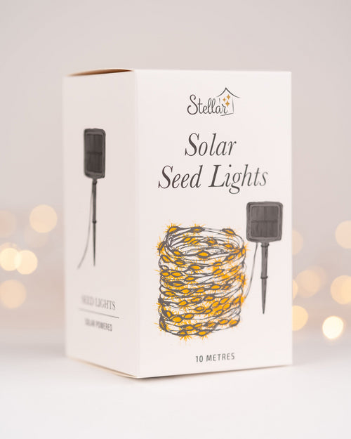 Solar Seed Lights String 10m