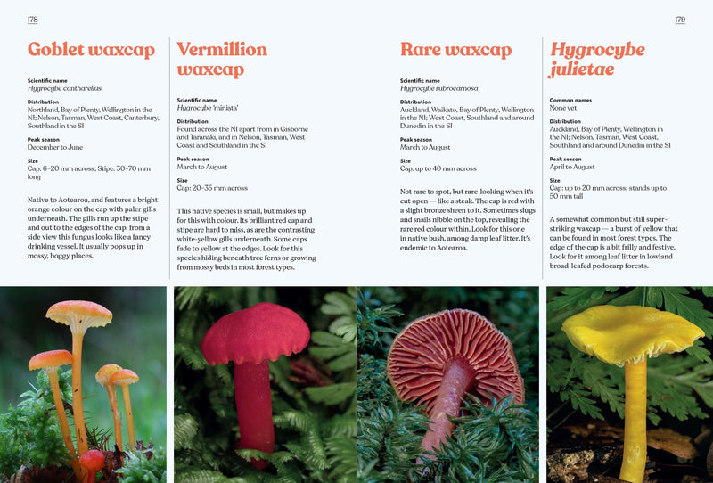 Fungi of Aotearoa Book