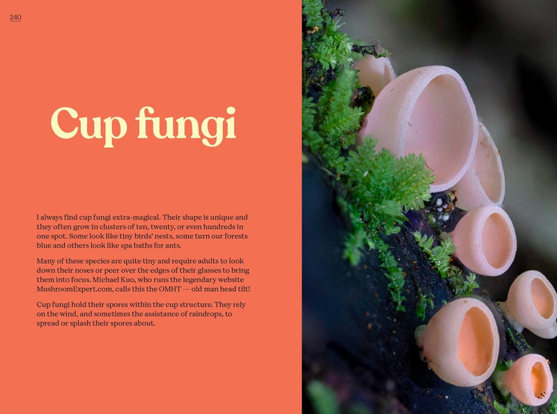 Fungi of Aotearoa Book