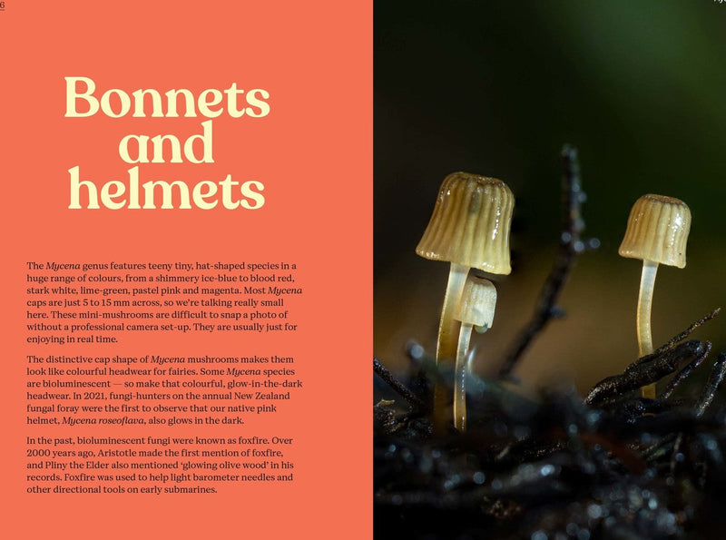 Fungi of Aotearoa Book