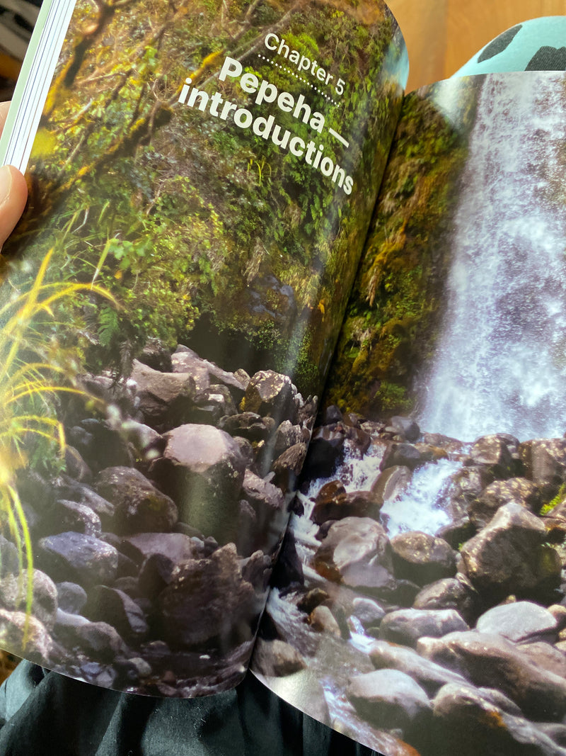 Tikanga - An Introduction to Te Ao Māori book