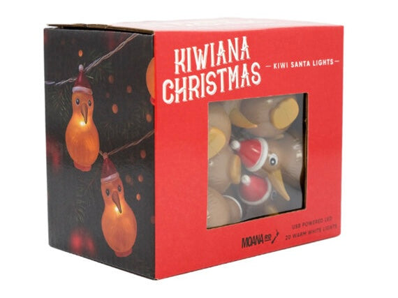 Kiwi Santa Fairy Lights