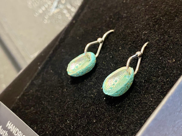 Nostalgem Paua Shell hook earrings