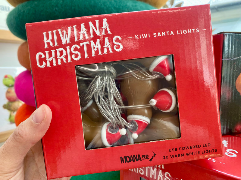 Kiwi Santa Fairy Lights
