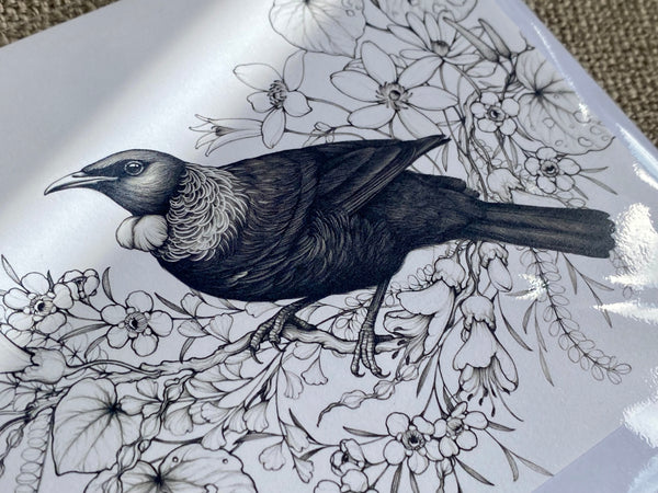 Card - ‘Home Is Here’ Tūī