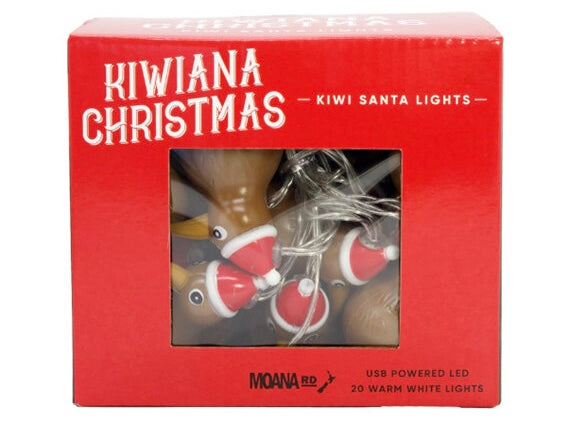 Kiwi Santa Fairy Lights