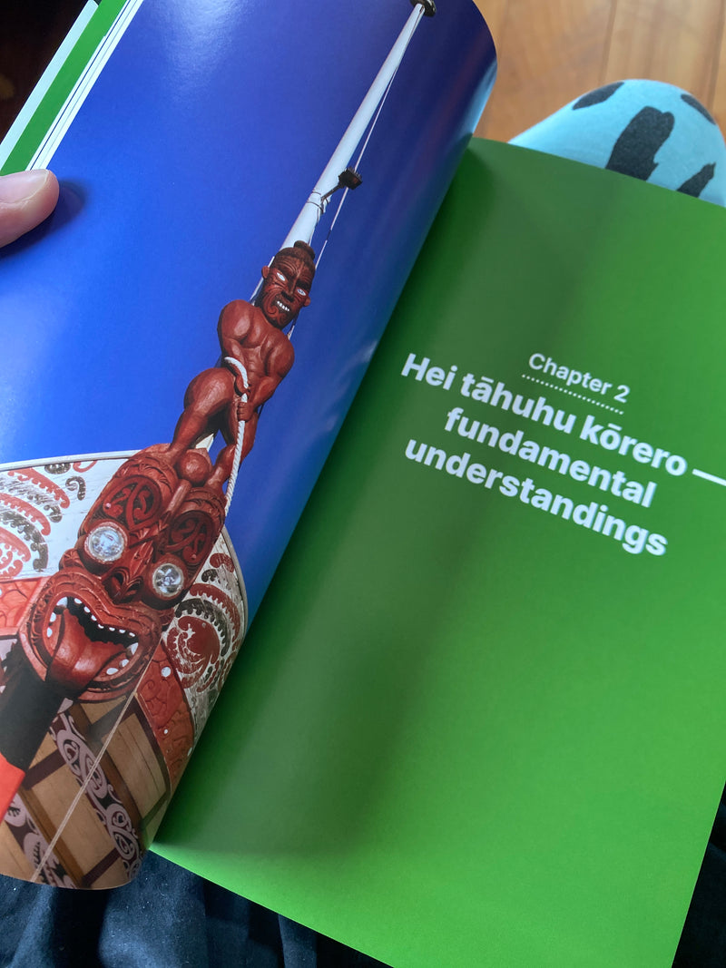 Tikanga - An Introduction to Te Ao Māori book