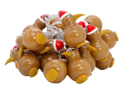 Kiwi Santa Fairy Lights