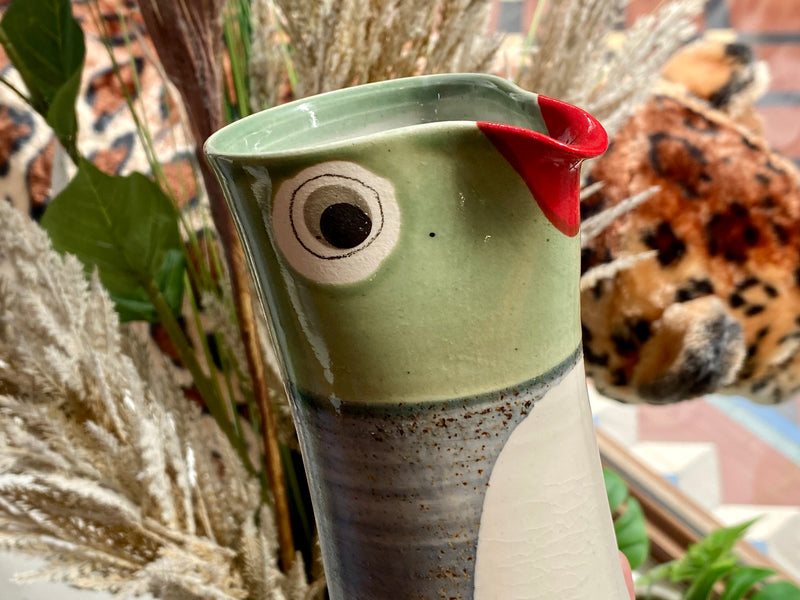 Ceramic Native Bird vase/jug