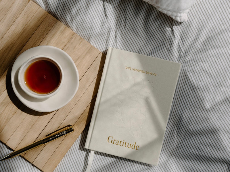 100 Days of Gratitude Journals