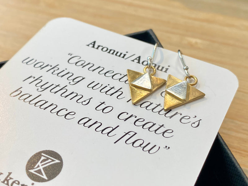 Aronui Earrings - 10ct gold plate