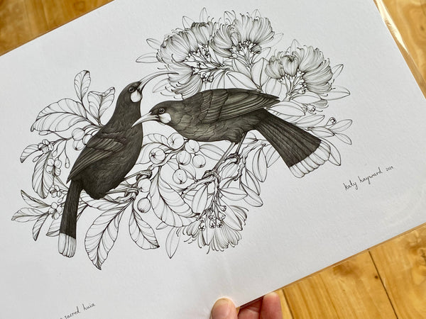 Our Sacred Huia A4 print