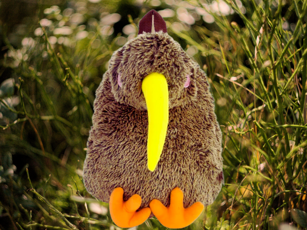 Kiwi Backpack