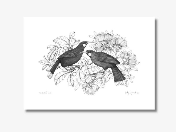 Our Sacred Huia A4 print