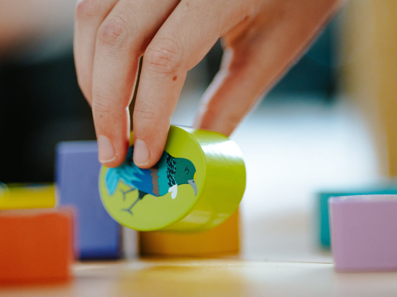 NZ Birds Shape Sorter Cube