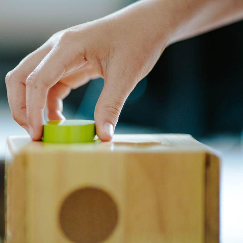 NZ Birds Shape Sorter Cube