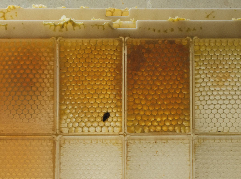Finders & Keepers Honey Range