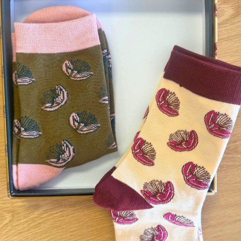 Pōhutukawa Socks Boxed Set