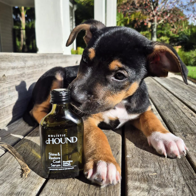 Holistic Hound Grooming Range