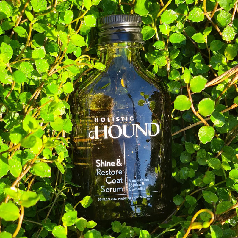Holistic Hound Grooming Range