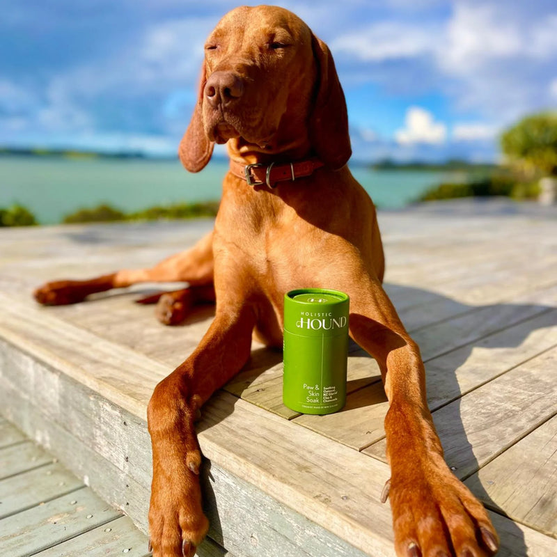 Holistic Hound Grooming Range