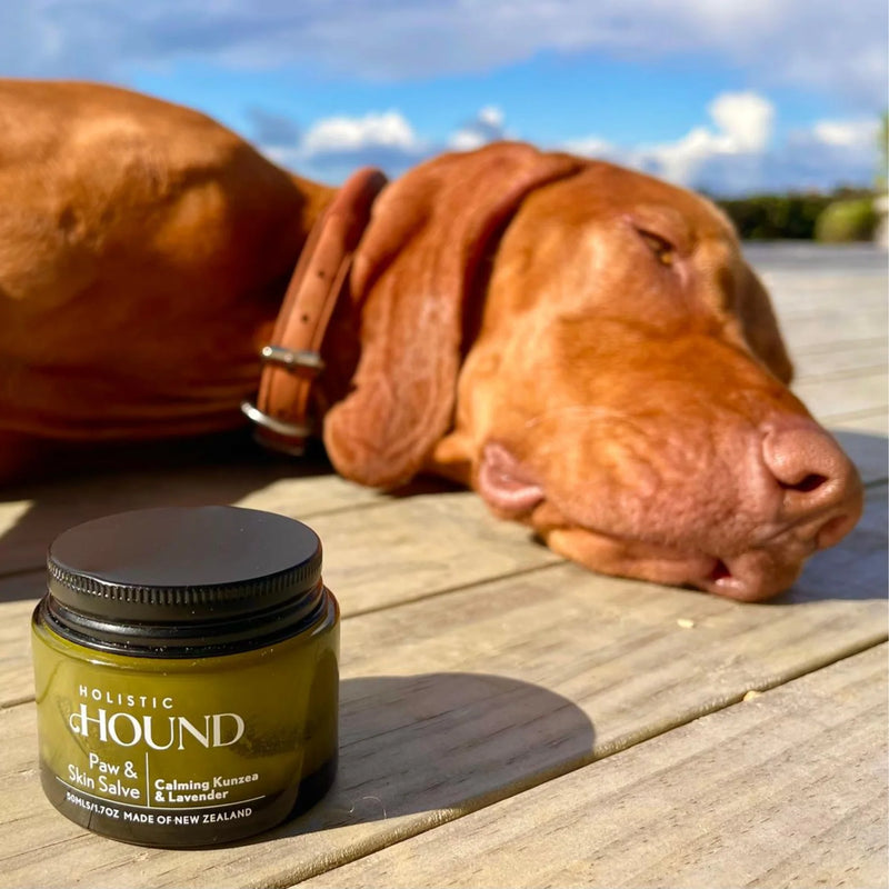Holistic Hound Grooming Range
