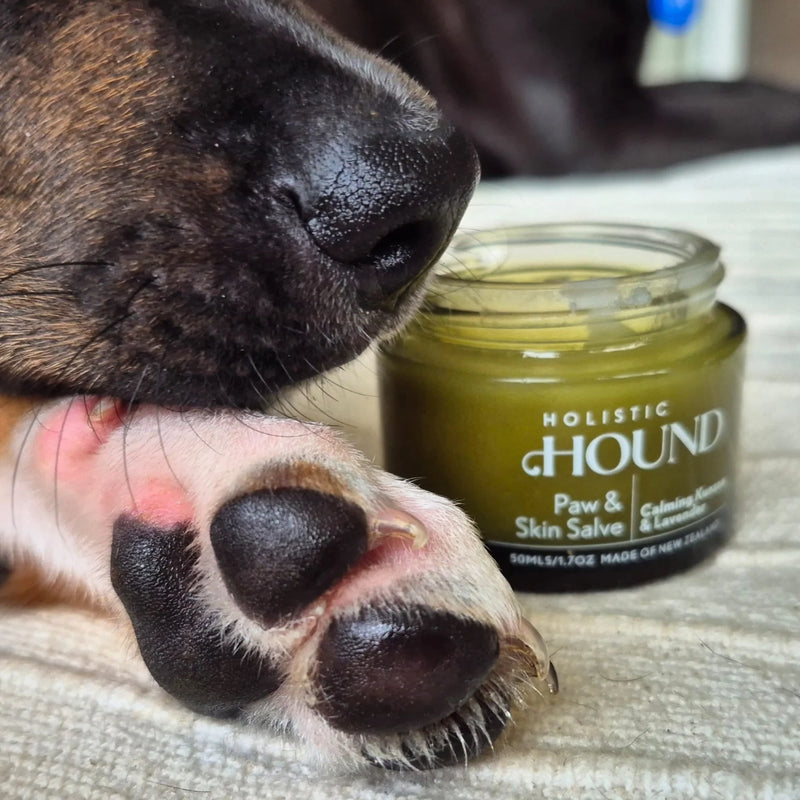 Holistic Hound Grooming Range