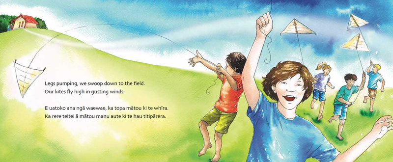 The Marae Visit book