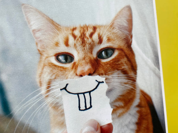 Card - Goofy Cat