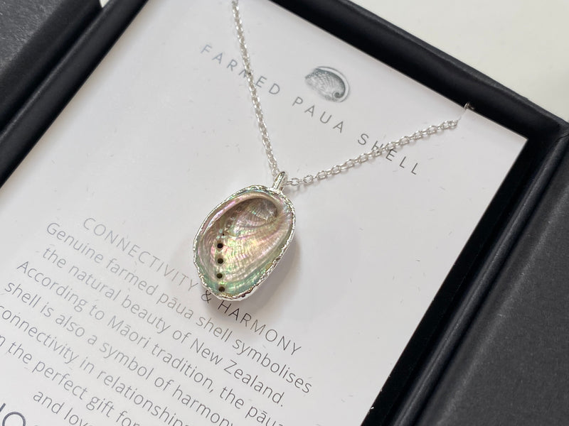Nostalgem Single Paua Shell necklace